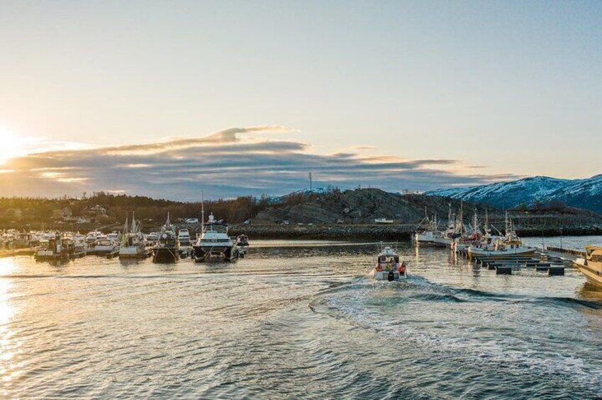 3 Hours Fishing Adventures in Alta Fjord