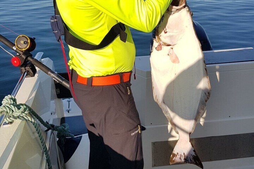 3 Hours Fishing Adventures in Alta Fjord