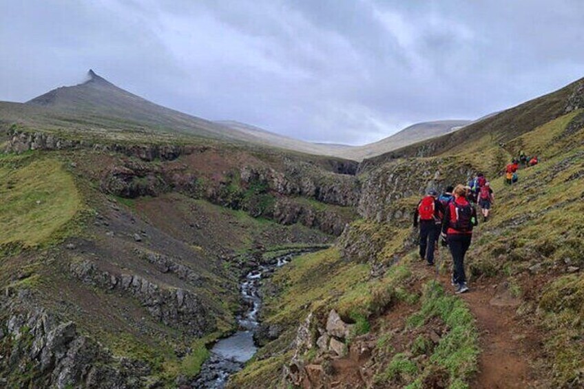 Hikers on the trail