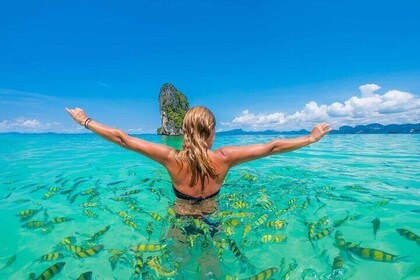 Magical Adventure in Phi Phi Islands and 4 Islands by Speedboat