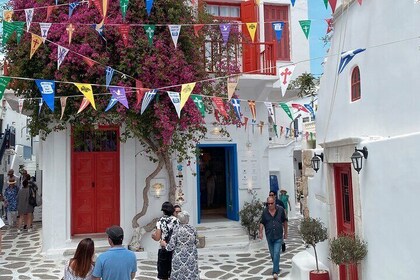 密科諾斯市和海岸奇蹟的私人遊覽