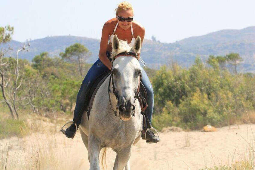 2 Hour Horse Ride Through Palmeraie Grove with Transfer-Marrakech