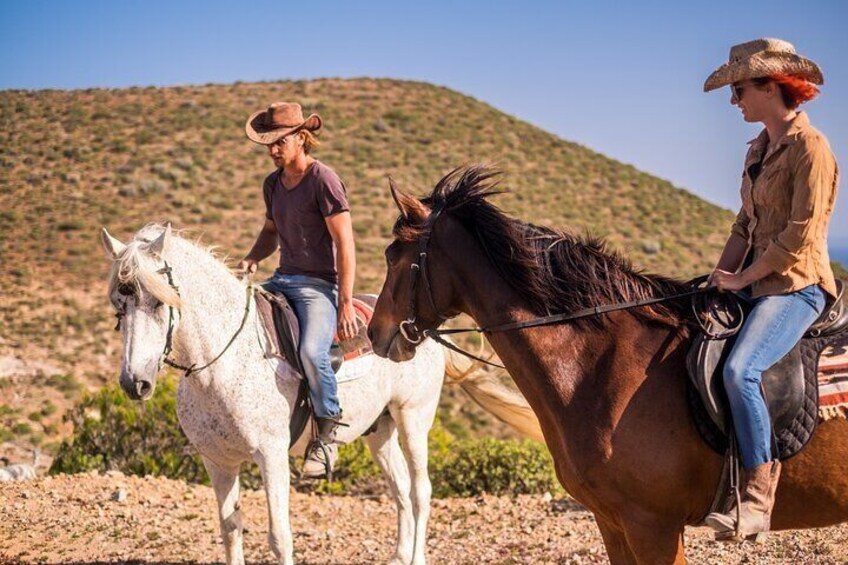 2 Hour Horse Ride Through Palmeraie Grove with Transfer-Marrakech