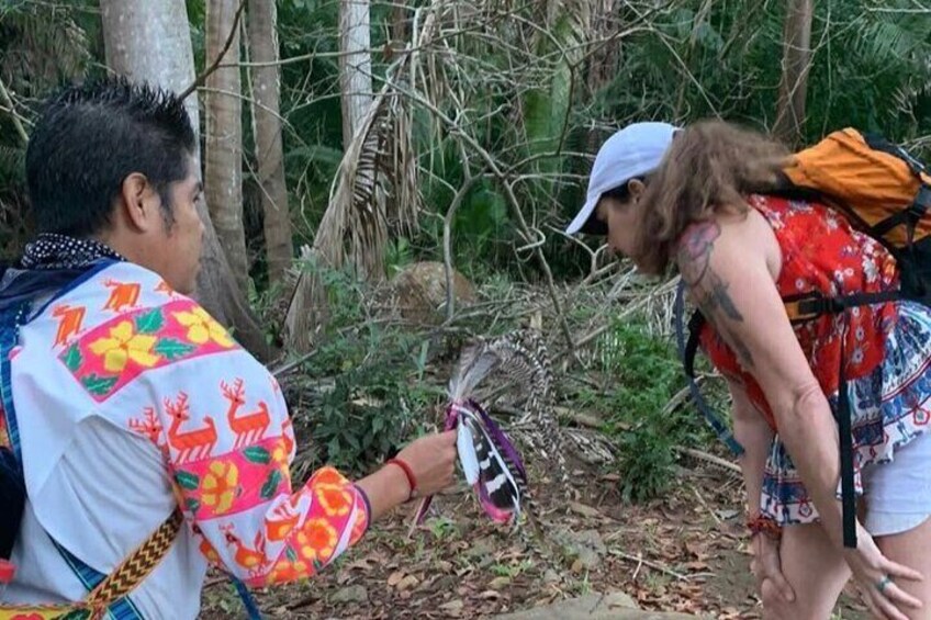 Indigenous Blessing Ceremony and Jungle Walk