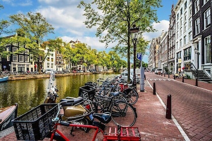 Von Amsterdam: Private Tour nach Den Haag & Rotterdam Highlights