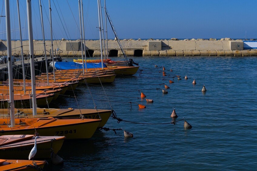 Tel Aviv: Jaffa Sunset Skyline Walking Tour 