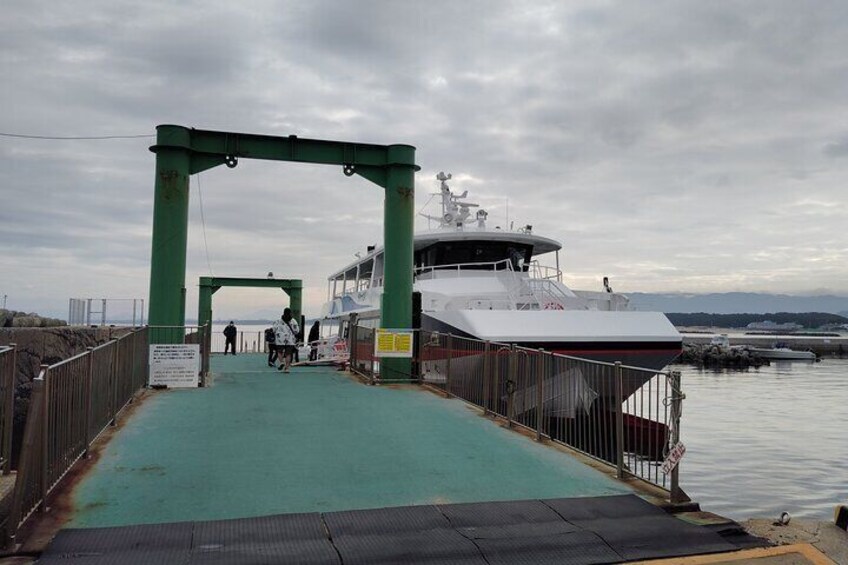 Ainoshima Island Private Cat Tour with Ferry Ride