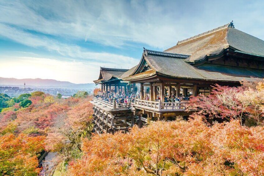 Kyoto and Nara Highlights Day Tour from Osaka 