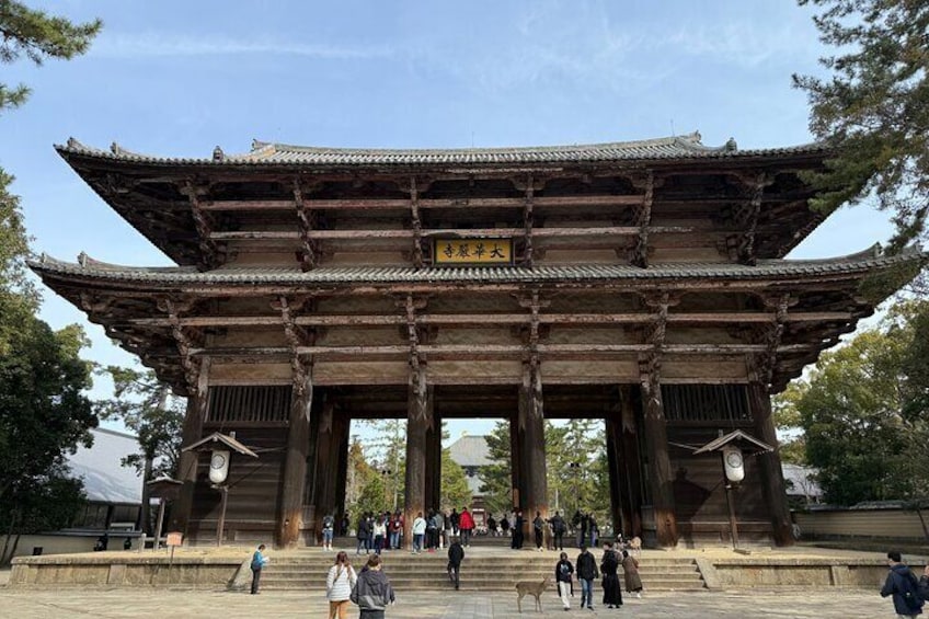 Kyoto and Nara Highlights Day Tour from Osaka