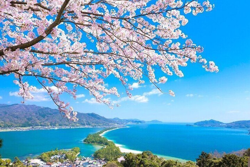 Kyoto Amanohashidate and Ine No Funaya Tour from Osaka