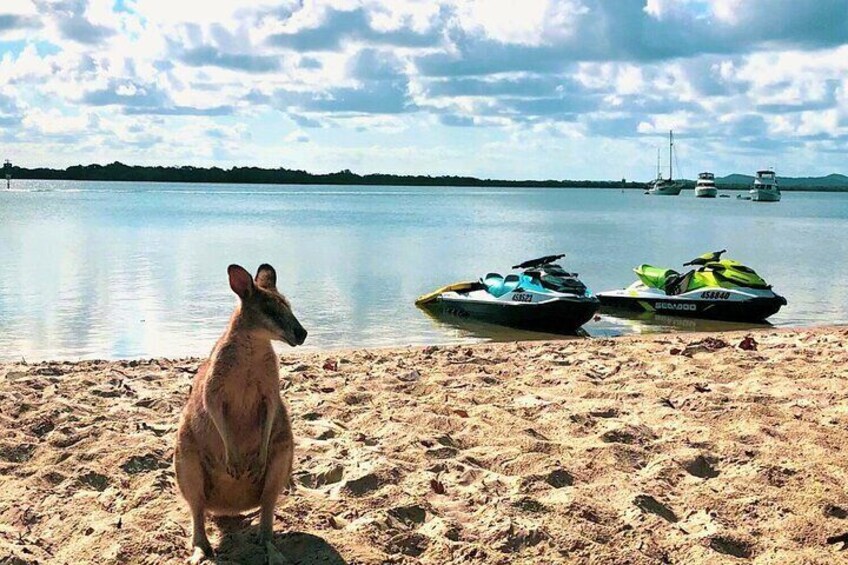 30 Minute Jet Ski Tour