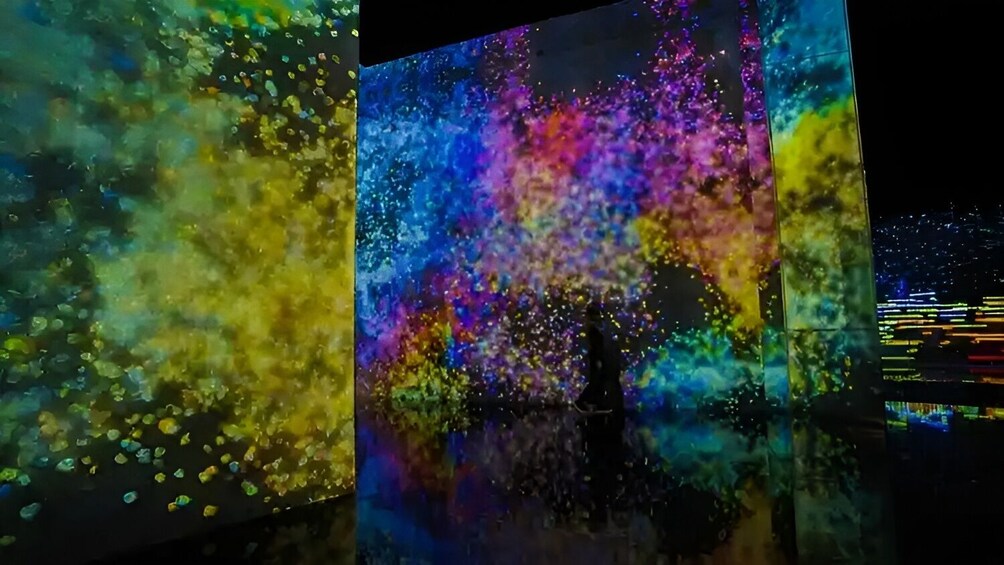 TeamLab Planets TOKYO