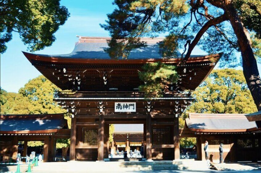  Tokyo Walking Tour to Meiji Jingu Shrine and Harajuku