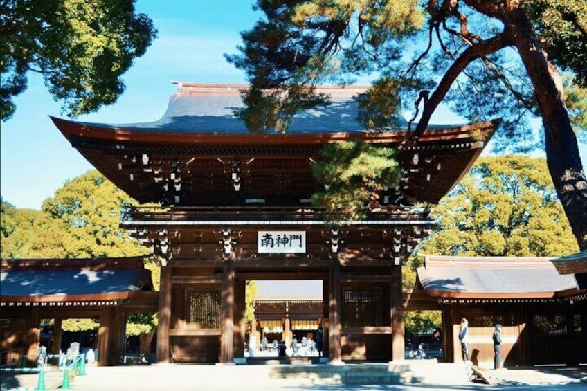 Tokyo Walking Tour to Meiji Jingu Shrine and Harajuku