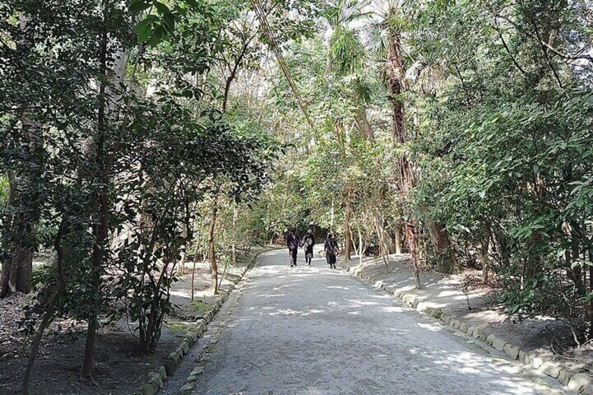 Fukuoka Munakata taisha Shrine Guided Tour