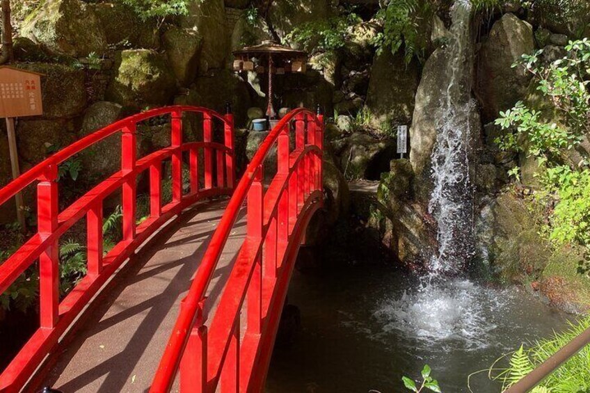 Fukuoka Nanzoin Temple and Reclining Buddha Guided Tour