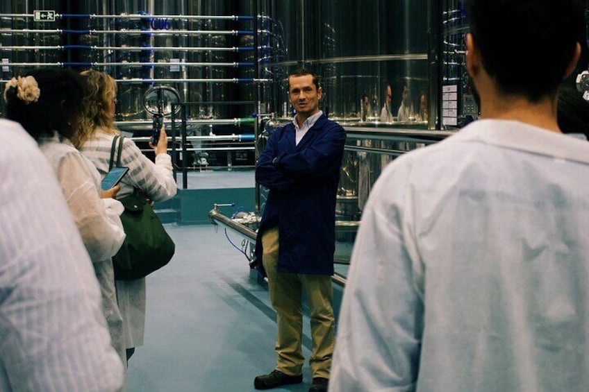 Discover Wine and Olive Oil Making Process