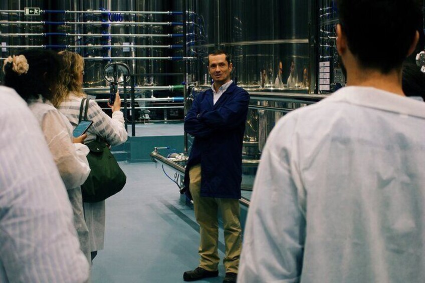 Discover Wine and Olive Oil Making Process
