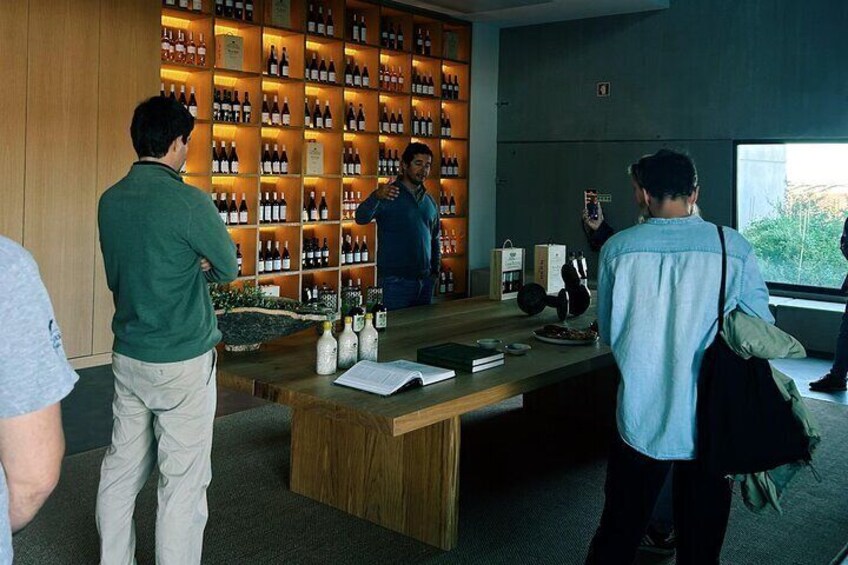 Discover Wine and Olive Oil Making Process