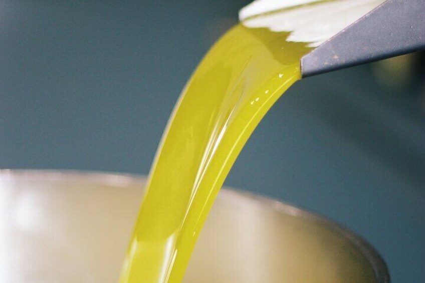 Discover Wine and Olive Oil Making Process
