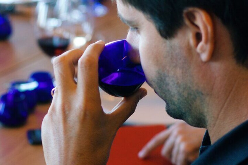 Discover Wine and Olive Oil Making Process