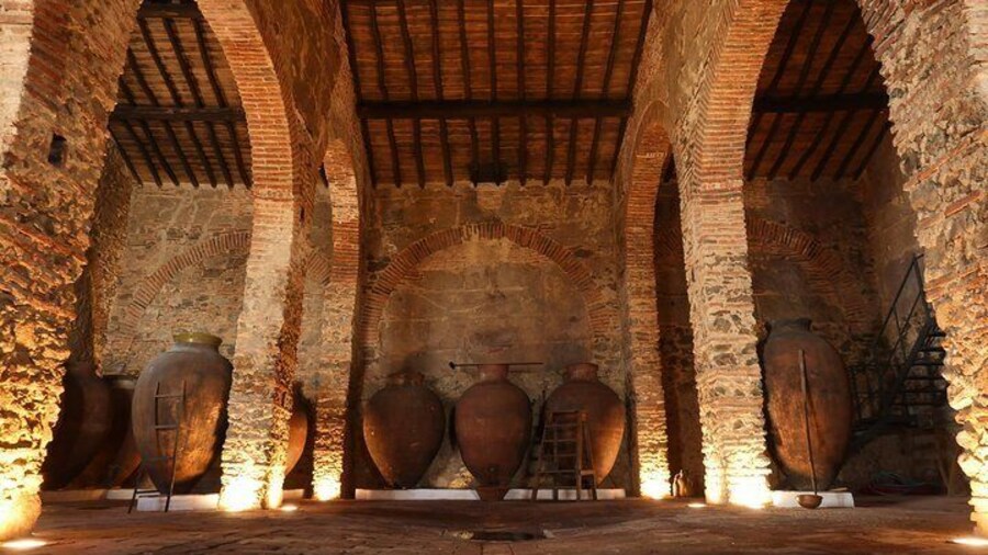 Guided Tour of the Cella Vinaria Antiqua Winery-Museum