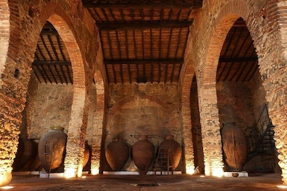 Guided Tour of the Cella Vinaria Antiqua Winery-Museum