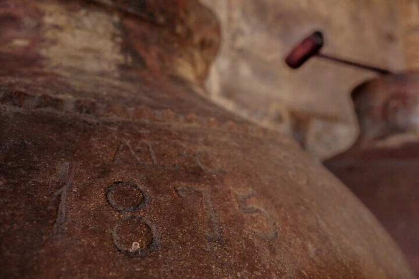 Guided Tour of the Cella Vinaria Antiqua Winery-Museum