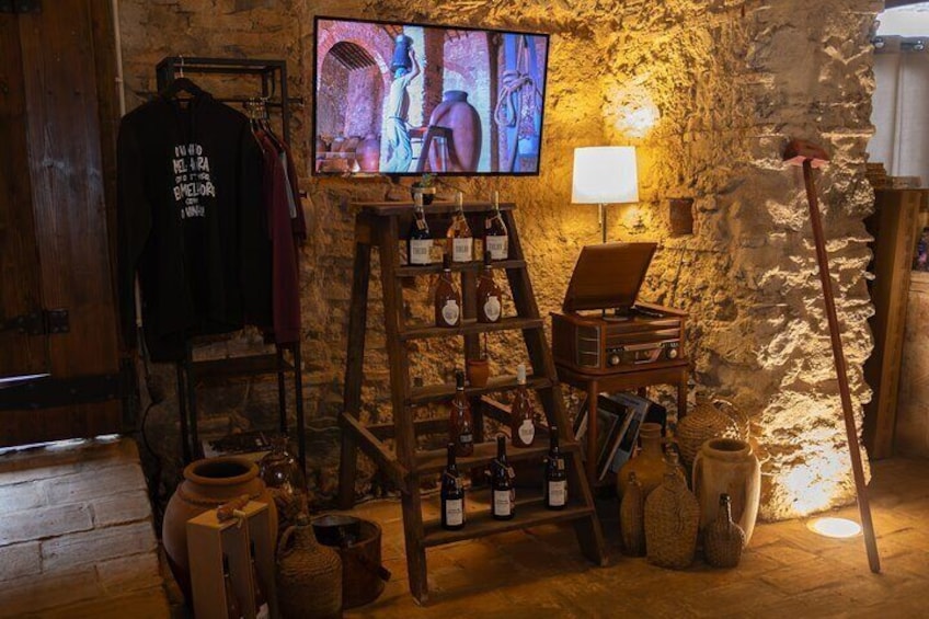 Guided Tour of the Cella Vinaria Antiqua Winery-Museum