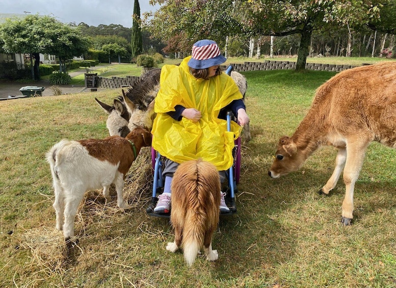 Picture 4 for Activity Oberon: Breaky with The Crew - Animal Lover Experience!