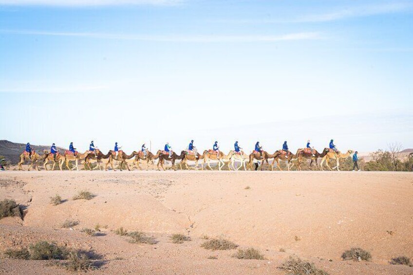 Camel Ride and Dinner Show in the Agafay Desert