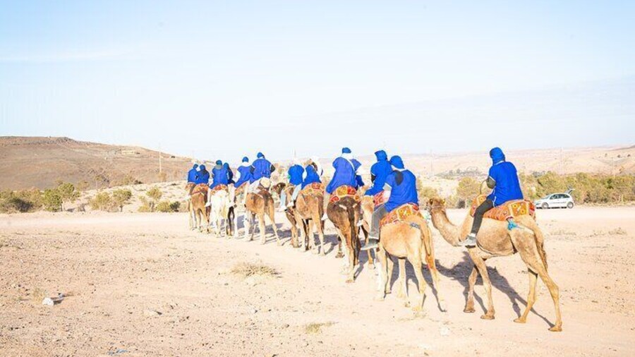 Camel Ride and Dinner Show in the Agafay Desert