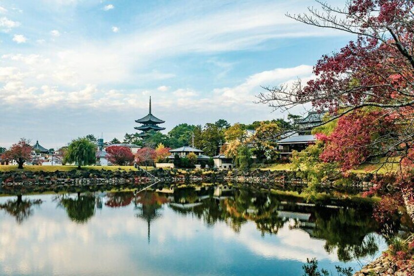 Nara and Kyoto Customized Private Tour with Luxury Vehicle