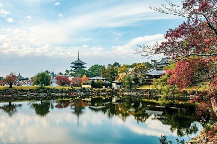 Nara and Kyoto Customized Private Tour with Luxury Vehicle