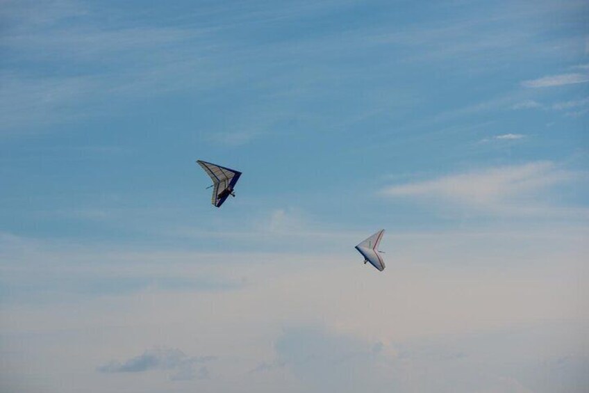 Delta Wing and Paragliding Flight 