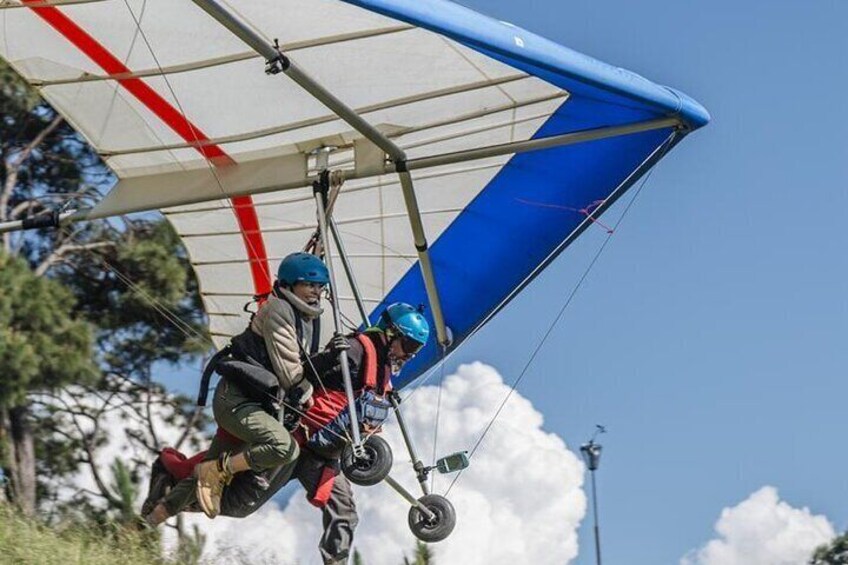 Delta Wing and Paragliding Flight 