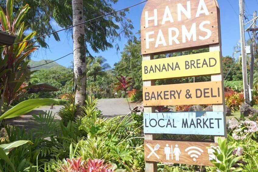 Private Road to Hana Rainforest & Waterfall Experience from Maui