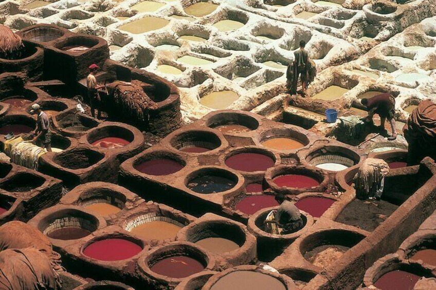 Excursion to Volubilis from Fez full day
