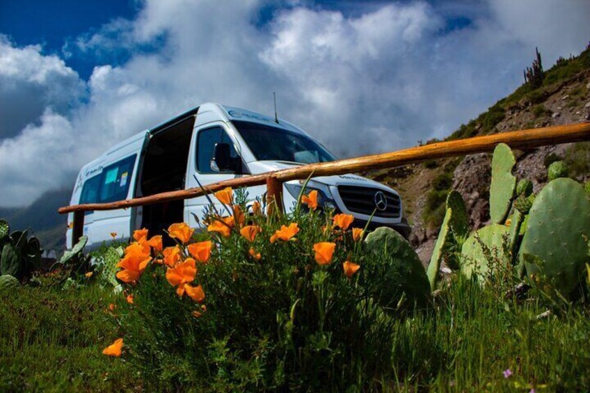Colca Canyon Day Trip with Transfer to Puno