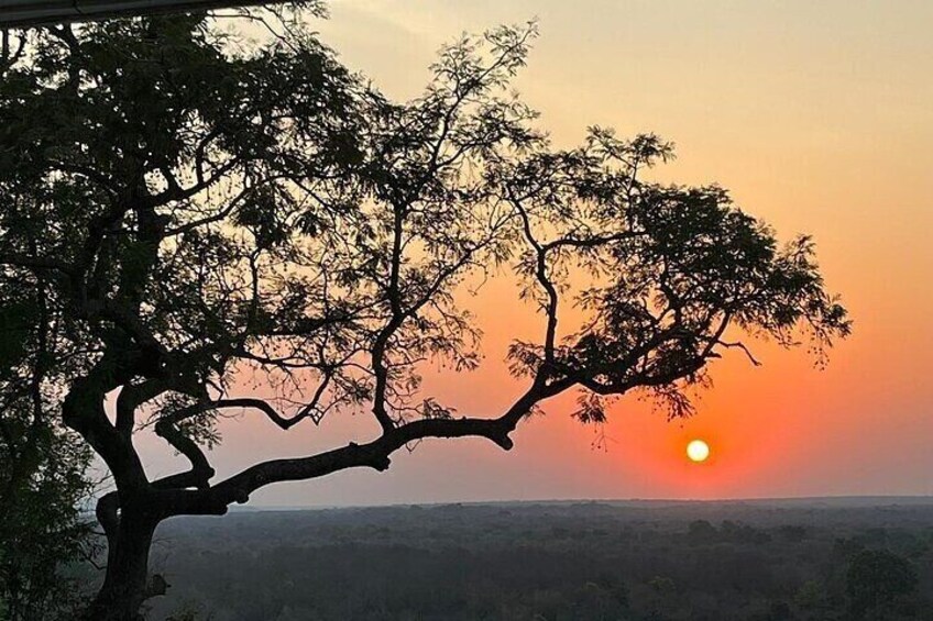 Come and immerse yourself in to the stunning Magic moment of the Sunset at Mole National Park View point.
