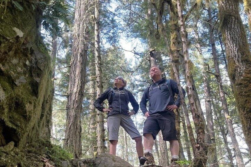 Craigflower Creek Scenic Hiking Tour with a Bite and Beer