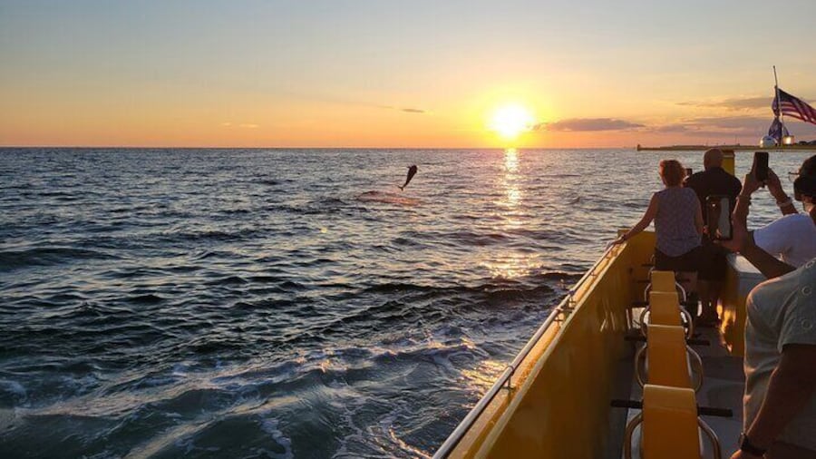 Dolphin and Sunset tour abord the Hydro Rocket