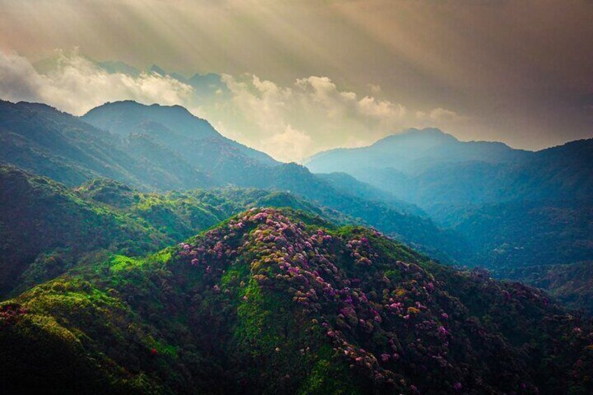 Hiking Putaleng in 2 Days