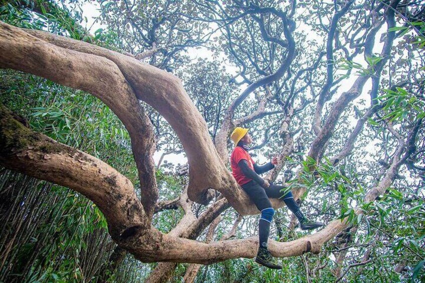 Hiking Putaleng in 2 Days