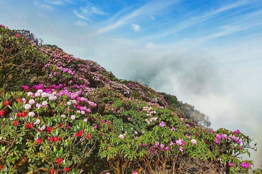 Hiking Putaleng in 2 Days