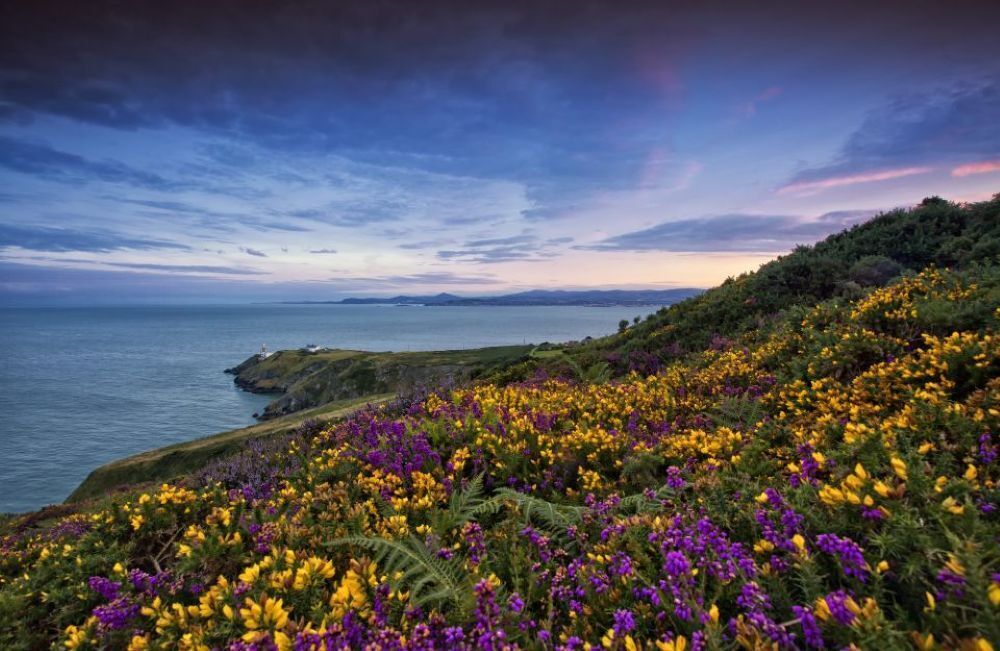 Howth Coastal Half-Day Tour from Dublin with Live Guide