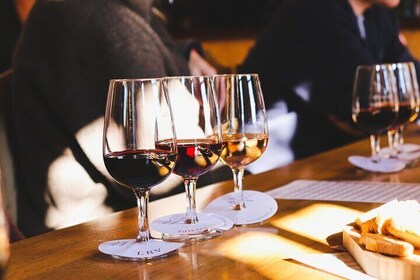 Explore the Douro Valley from Porto