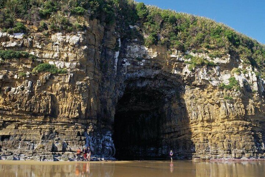 Nugget Point and Cathedral Caves Private Tour from Dunedin