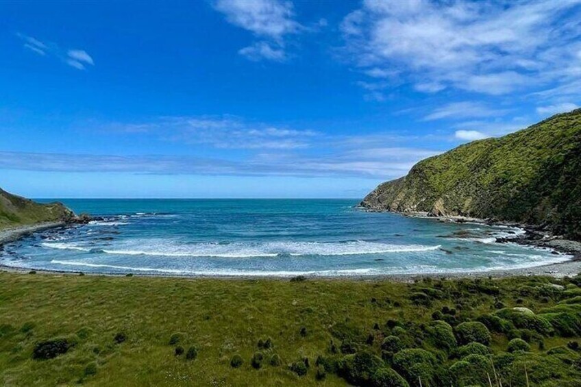 Nugget Point and Cathedral Caves Private Tour from Dunedin