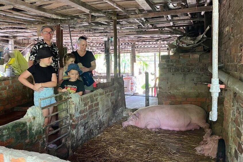Visit Local Family 